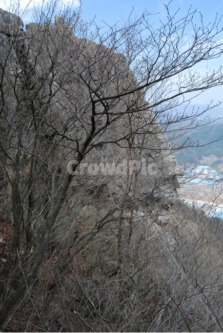 달음산,옥정사,철쭉,꽃,자연의위대함,등산로,능선,아름다움,신비스런산,돌,산행,힐링,자연,감성,등산,계절,여행,한국,한국명산,한국등산,풍경,눈,나무,하늘,바람,바람소리,환경,생태계,산,땅,자연,풍경,nature,landscape,식물,plants,나무,trees,wood