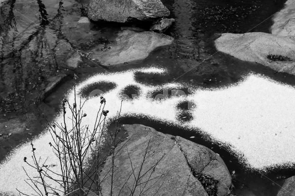 자연,풍경,괴산,충북,흑백,자연,풍경,nature,landscape,흑백,모노톤,monochrome,black and white,puddle,흐리게 하다