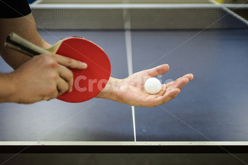 sports,탁구,구기종목,스포츠,탁구대,tabletennis,탁구라켓,스포츠,레저,운동,sports,leisure,exercise,사물,물건,오브젝트,thing,object,matter