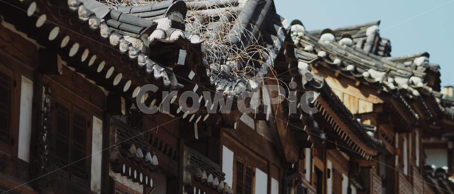 풍경,시선,집중,빈티지,vintage,조용함,적막함,street,brick,landscape,평화로움,여유,휴식,산책,relaxation,rest,기와,한옥,한국,전통,오래된,old,wood,나무,scenery,scene,view,한국전통,한국문화,korean traditional,korean culture,건축물,건물외관,exterior,building,structure,architecture,construction