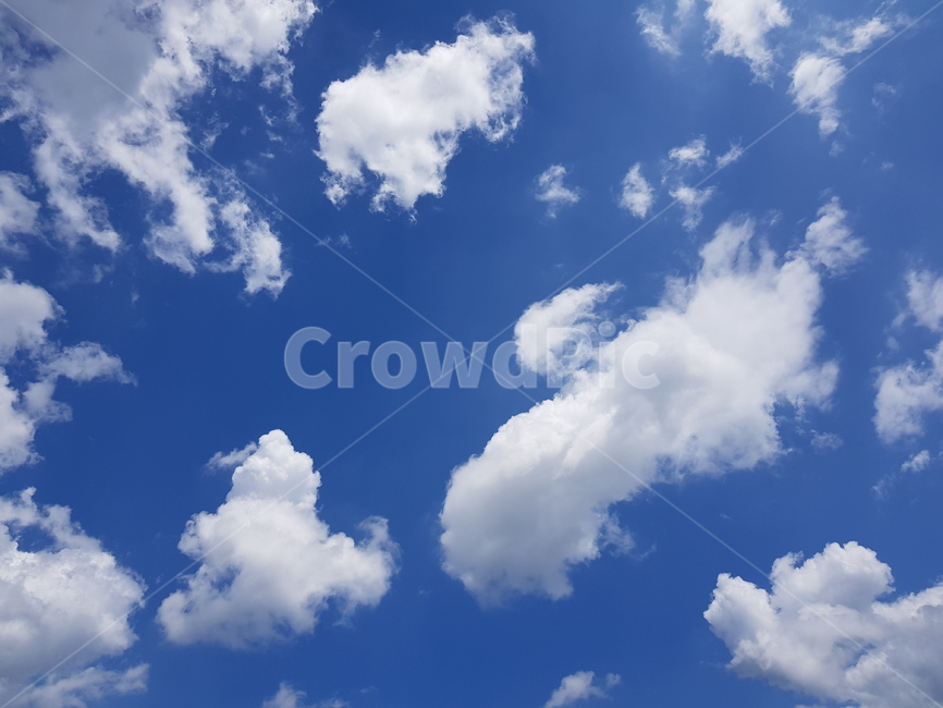 구름,하늘,파란하늘,뭉게구름,특이한구름,파란,푸른하늘,special,sky,bluesky