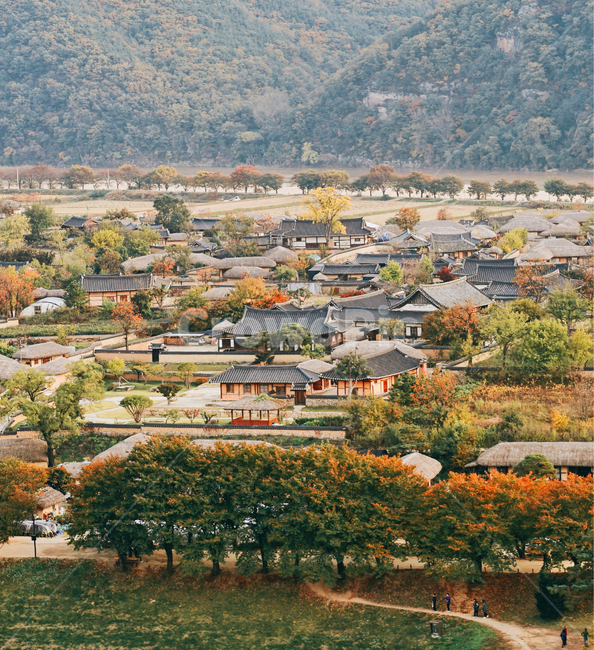 풍경,scenery,nature,자연,하회마을,안동하회마을,경치,세계문화유산,한국문화,가을,계절,fall,autumn,season,시골,마을,풍경,landscape,country,rural,town,한국전통,한국문화,korean traditional,korean culture,outdoors,옥외