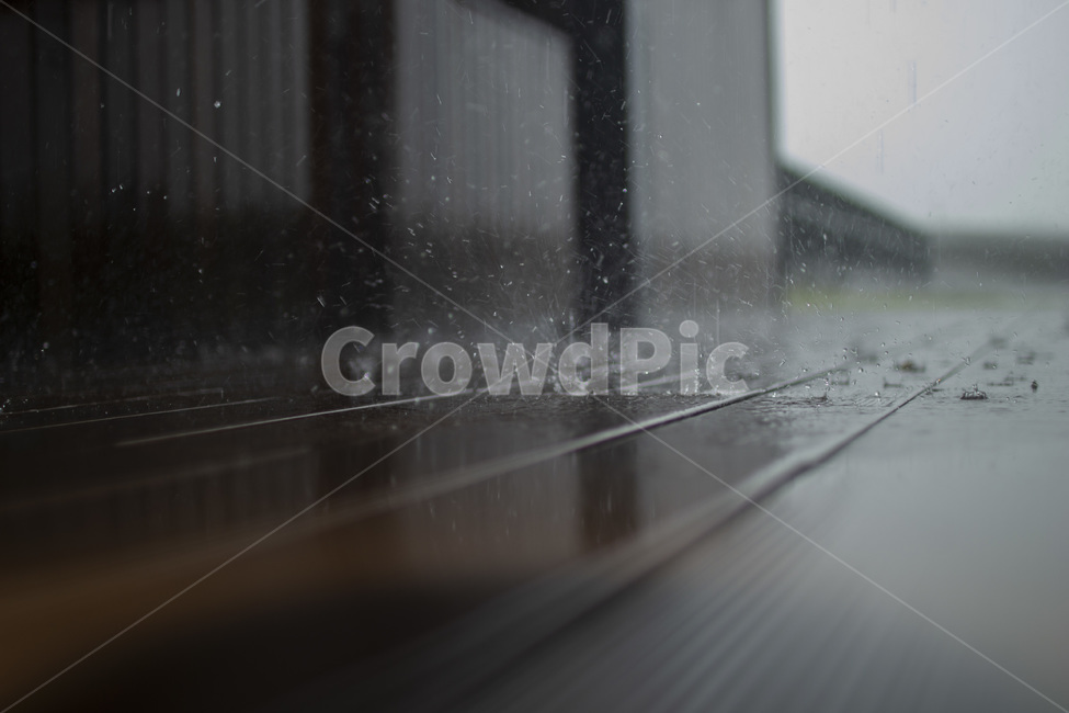감성사진,rain,빗방울,crown,흑백,비,비오는날,rain,rainy