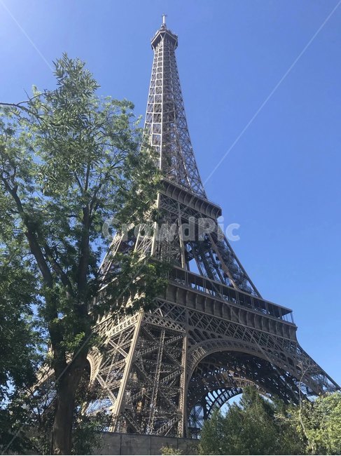 파리,에펠탑,나무,paris,에펠,건축물