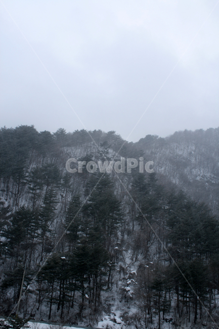 겨울,산,나무,눈,풍경,snow,겨울,계절,winter,season,자연,풍경,nature,landscape,tree,plant,식물,weather,날씨