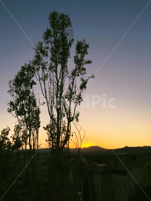 나무,일몰,풍경,노을,자연,도시,풍경,city,landscape,식물,자연,plants,nature,나무,trees,wood,outdoors,옥외,sky,하늘,dawn,새벽,red sky,붉은 하늘,dusk,황혼,sunset,silhouette,실루엣