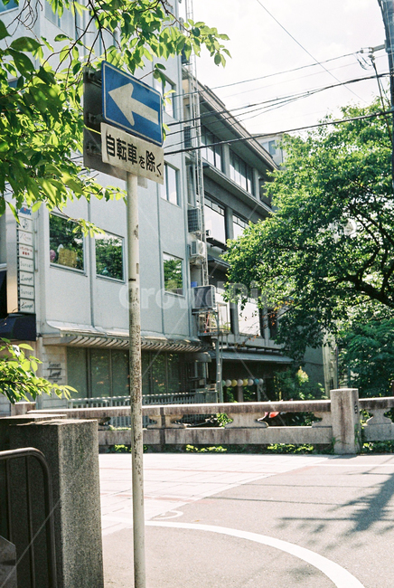 일본,일본감성,필름카메라,필름사진,여름,교토,kyoto,표지판