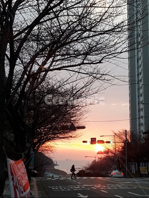 다대포일출,새벽,새벽출근길,출근길,일출