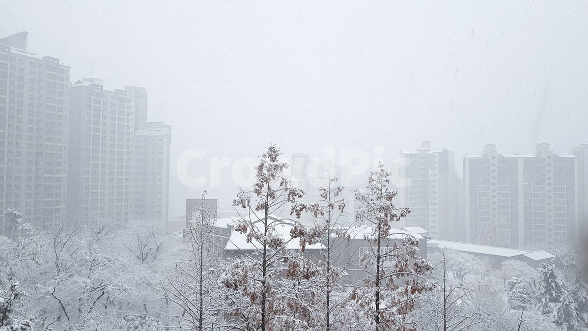 outdoors,옥외,겨울,눈,눈보라,폭풍,자연,snow,winter,storm,nature,koreawinter,blizzard