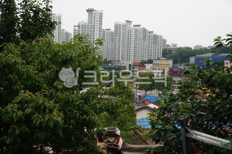 redevelopment,apt,old house,Gook,tree,Slavic,tile roof,migration,reconstruction,highrise apartment,tiled house,gentrification,Daldongne