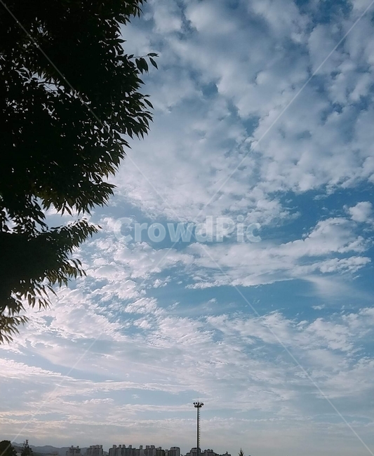 자연,하늘,야외,outdoors,구름
