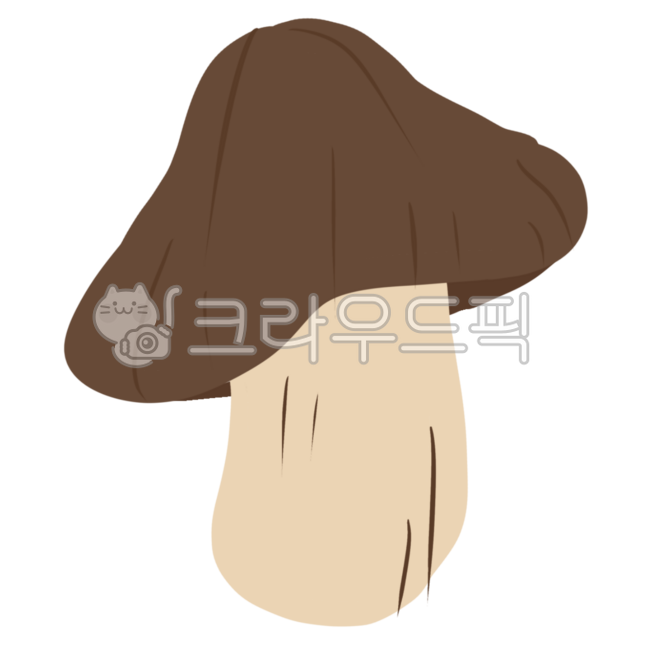 버섯,버섯그림,버섯드로잉,버섯일러스트,느타리버섯,송로버섯일러스트,송로버섯,송로버섯일러,송로버섯드로잉,송로버섯png,버섯png