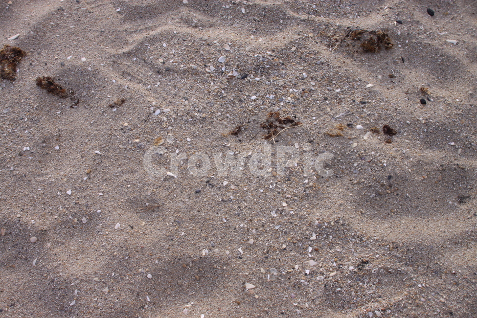 모래사장,바다,감성사진,감성,모래,바닷가,해수욕장,sand,자연,nature,바닥,ground