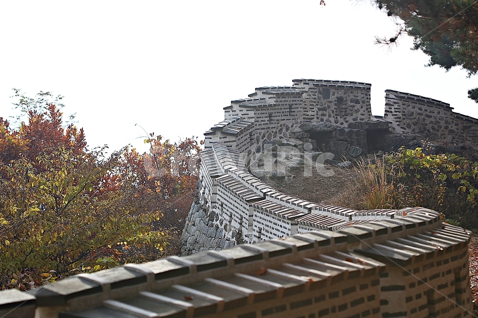 남한산성,성,성곽,단풍,낙엽,길,둘레길,숲,숲길,담,돌담,가을,자연,풍경,벽,울긋불긋,산성,식물,가을,계절,fall,autumn,season,한국전통,한국문화,korean traditional,korean culture
