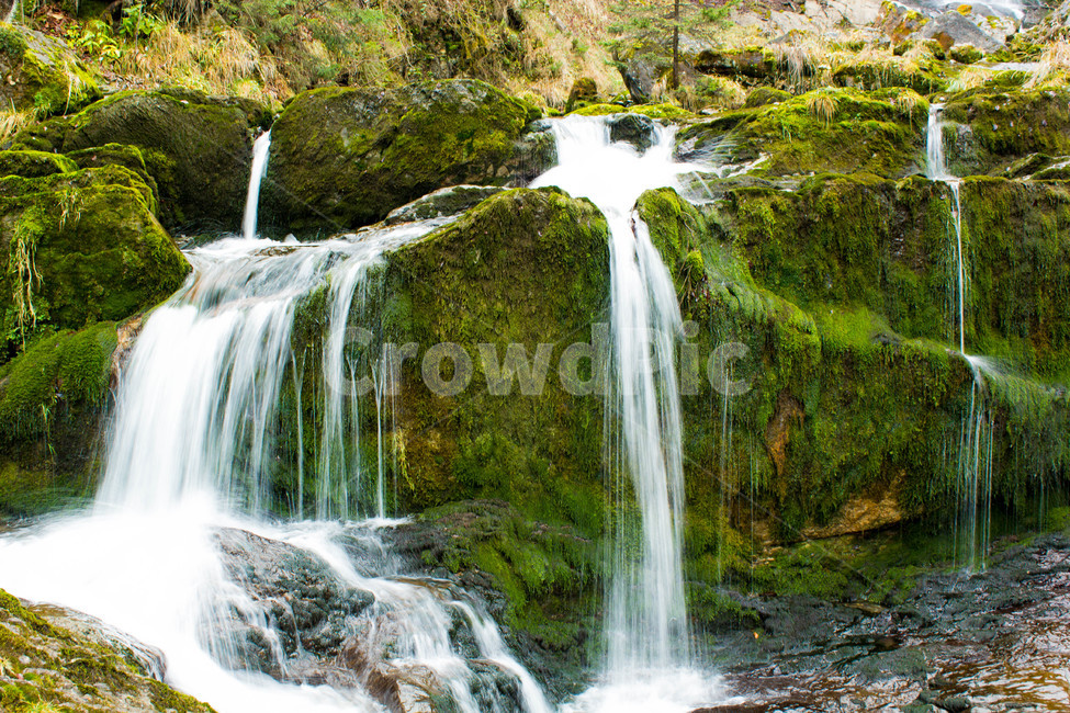 폭포,강,줄기,물,이끼,개울,물줄기,작은폭포,풍경,경치,자연,풍경,nature,landscape,river,water,outdoors,옥외,waterfall