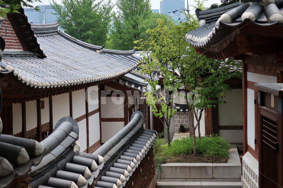 전통,빈티지,한옥,북촌,서울,한국,대한민국,집,디자인,건축,건축물,문화,스타일,목재,주택,기와,지붕,처마,돌담,고풍,보존,보호,남산골,전통미,가옥,한국전통,한국문화,korean traditional,korean culture,건축물,건물외관,exterior,building,structure,architecture,construction