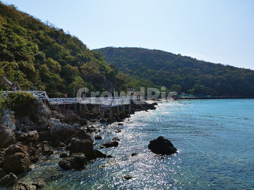 바다,섬,바위,숲,나무,자연,풍경,nature,landscape,water,물,waterfront,워터 프론트