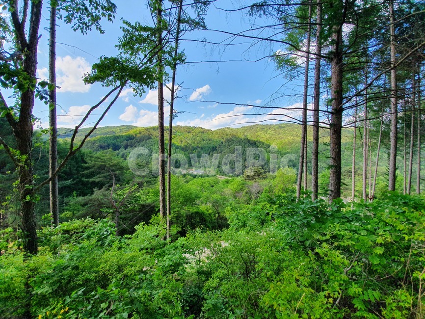 산,하늘,나무,풍경,자연,sky,mountain,landscape,scenery,scene,view
