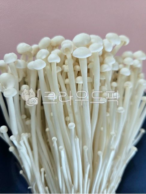 enoki mushrooms,mushrooms,food ingredients,food ingredients,enoki mushrooms,mushrooms