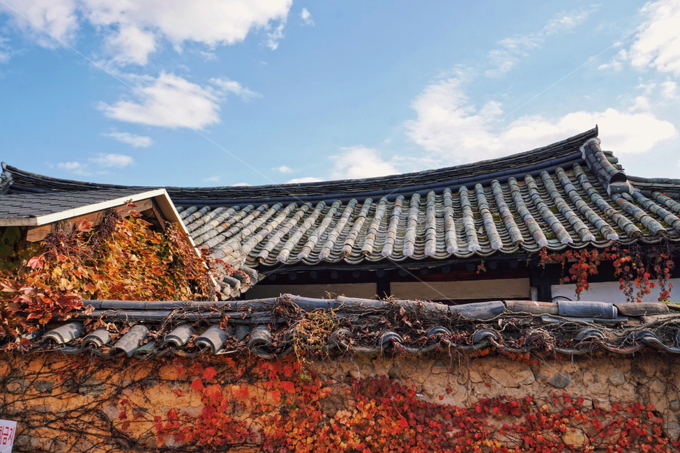한옥,기와,지붕,roof,가을,fall,autumn,단풍,maple,하늘,sky,가을,계절,fall,autumn,season,한국전통,한국문화,korean traditional,korean culture,건축물,건물외관,exterior,building,structure,architecture,construction