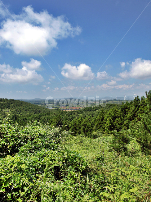 통오름,올레3코스,올레,제주,서귀포,푸른하늘,흰구름,자연,자연,풍경,nature,landscape,outdoors,옥외
