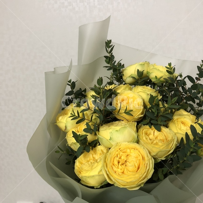 plant,식물,flower,꽃,flowerarrangement,노란장미,장미,노란꽃,카나리아,노란장미꽃,장미꽃,까탈레나,꽃,flower