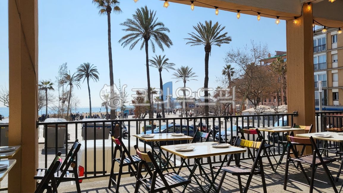 바르셀로네타,바르셀로네테,바르셀로나,해변,해변가