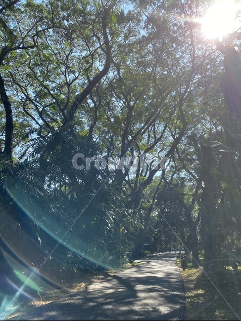 평화,안식,안정,고요,산책