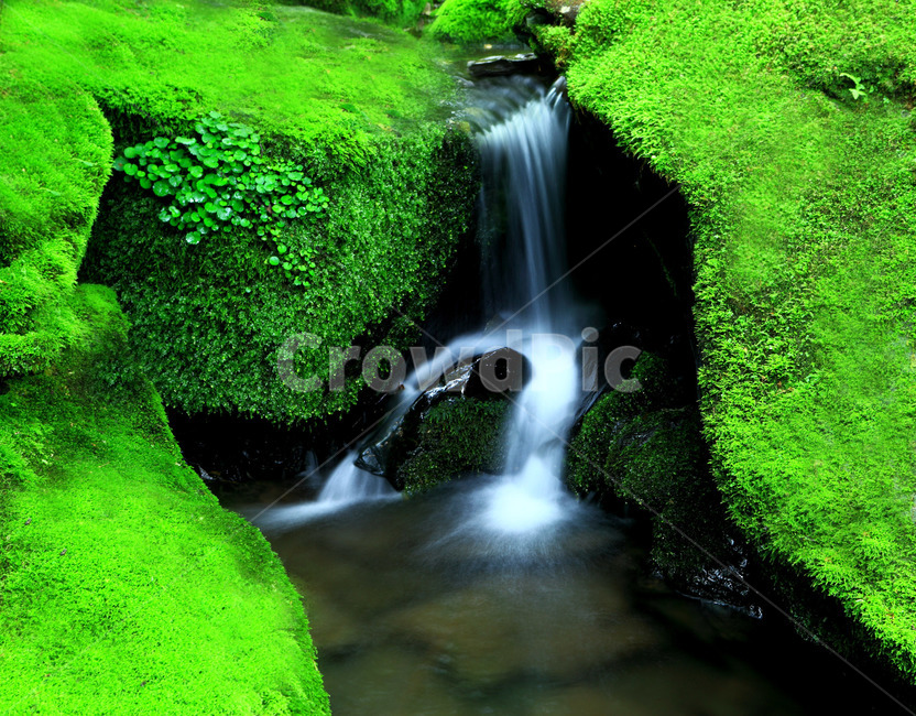 water,물,nature,자연,outdoors,자연,풍경,nature,landscape