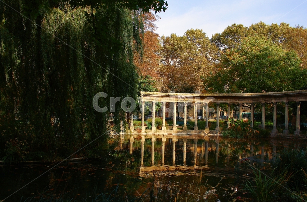 나무,tree,유럽풍경,공원,유럽공원,프랑스,파리,가을,plant,식물,유럽분위기,mod,paris,france