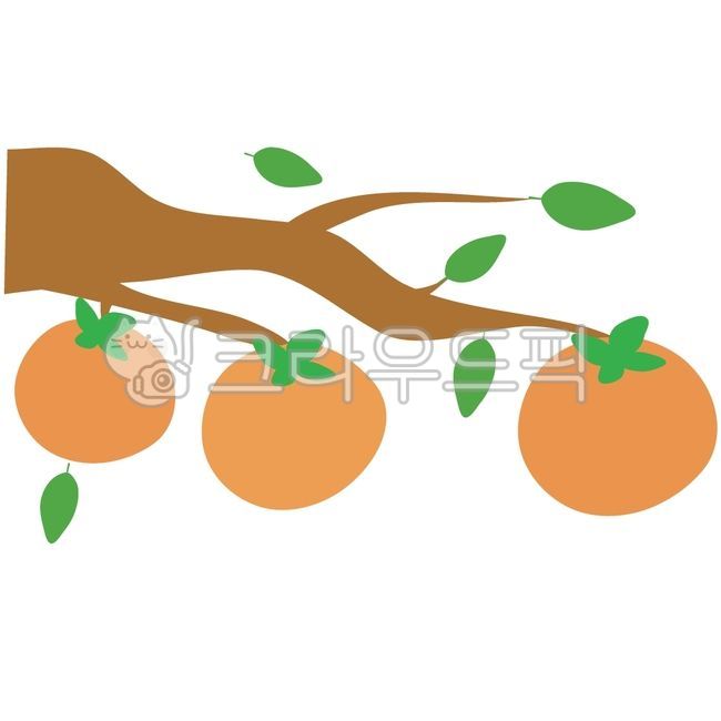 Persimmon tree,persimmon tree illustration,autumn persimmon tree,persimmon fruit,persimmon,ripe persimmon,sweet persimmon,soft persimmon,autumn branches,autumn fruit,persimmon tree drawing,persimmon drawing,persimmon tree branches,hand-drawn 