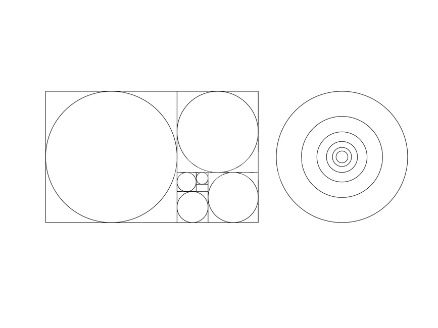 황금비율,비율,일러스트,황금비,goldenratio,그래픽,일러스트레이션,graphic,illustration