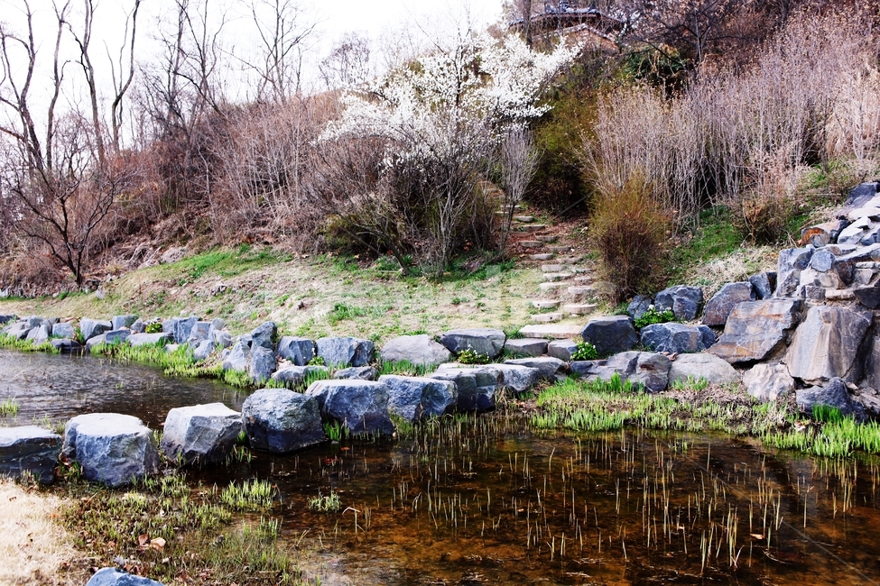 돌길,길,식물,자연,배경,풍경,자연,풍경,nature,landscape,water,물,outdoors,옥외,land,땅