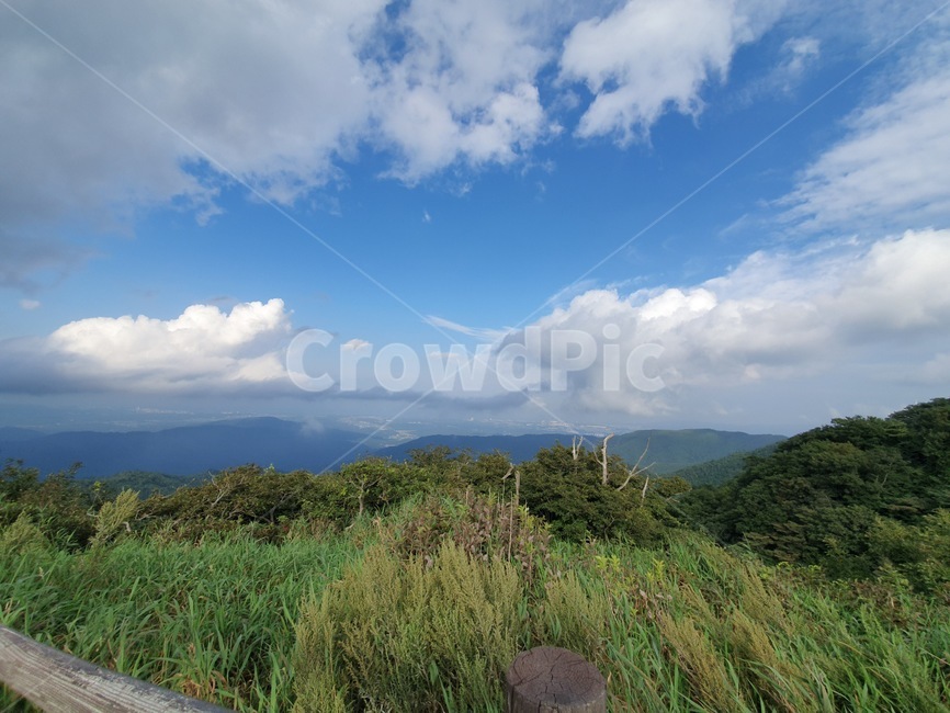 자연,weather,대관령,하늘,풍경