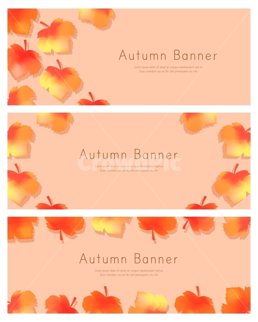 단풍잎,잎,배너,가을,이벤트,가을,계절,fall,autumn,season,축제,행사,festival,carnival,event,그래픽,일러스트레이션,graphic,illustration
