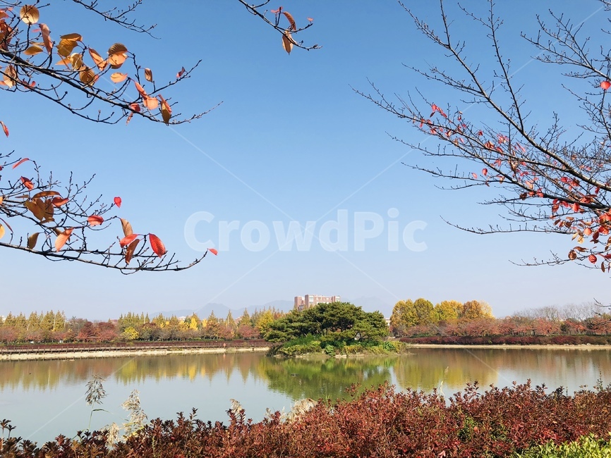 가을,호수,낙엽,하늘,공원,단풍,가을,계절,fall,autumn,season,자연,풍경,nature,landscape,outdoors,옥외