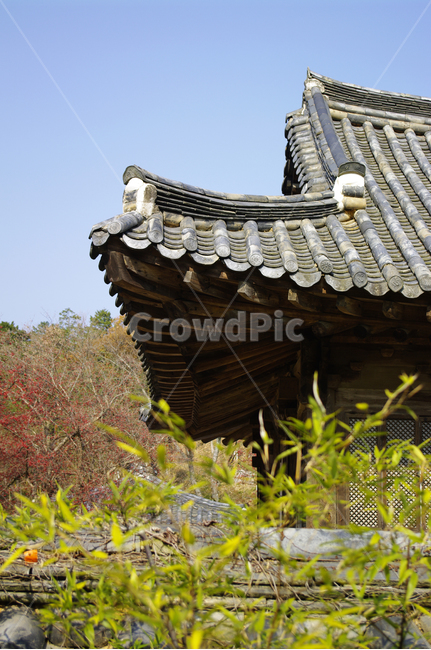 지붕,기와지붕,전통,나무,담,한국전통,한국문화,korean traditional,korean culture,건축물,건물외관,exterior,building,structure,architecture,construction
