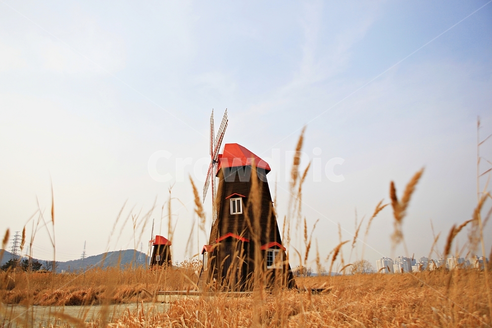 풍차,갈대,배경,자연,풍경,하늘,가을,계절,fall,autumn,season,건축물,건물외관,exterior,building,structure,architecture,construction,rural,농촌,outdoors,옥외,건물,nature,housing,주택,grass,잔디,plant,식물