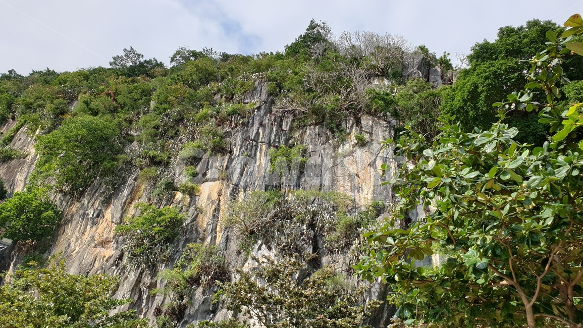 베트남,다낭,오행산,유적,nature,cliff,산,자연,자연,풍경,nature,landscape