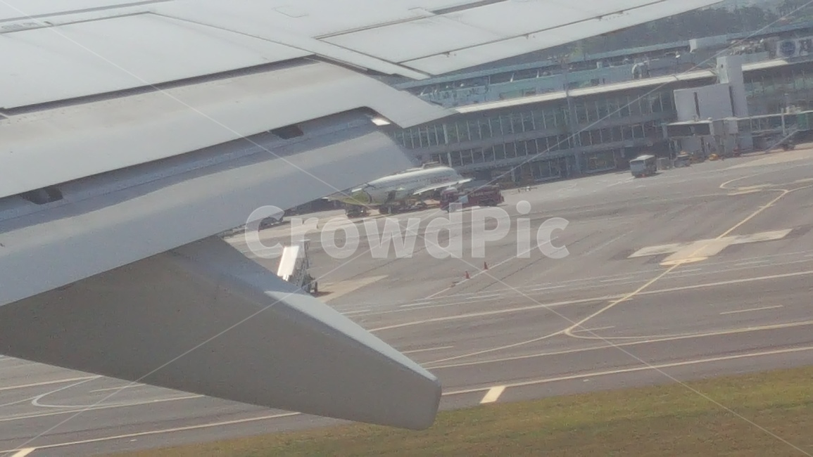 비행,비행기,공항,날개,활주로,항공