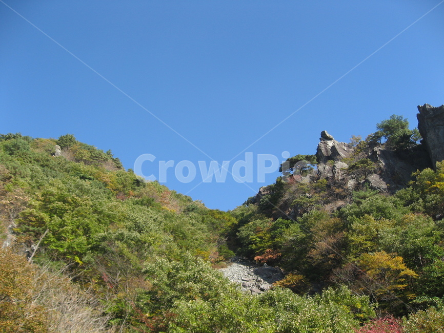 nature,자연,outdoors,옥외,산,단풍,천성산,나무,식물,바위,가을,하늘,가을하늘,가을,계절,fall,autumn,season,자연,풍경,nature,landscape