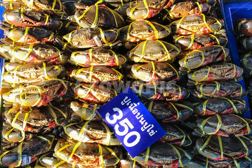시장,게,꽃게,갑각류,어류,동남아시장,시장,마트,마켓,market,mart,market place,해외,외국,세계,foreign,oversea,world,수산물,해산물,fishery products,seafood