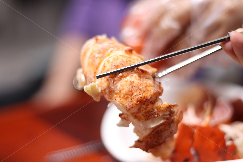 랍스타,해산물,랍스터,lobster,바닷가재
