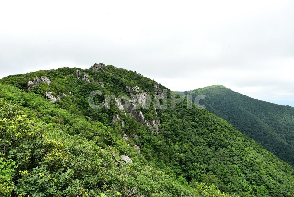 소백산,풍경,초록,자연,여름,경치,비경,등산,산행,힐링,아름다운,계절,명산,국립공원,nature,landscape,비로봉,자연,풍경,nature,landscape,hill,언덕,outdoors,옥외