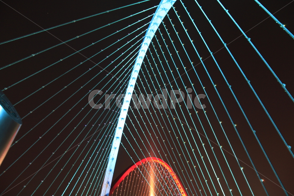 엑스포교,구성,조명,선,야경,현수교,대전,야경,밤,풍경,nightscape,night,landscape,건축물,건물외관,exterior,building,structure,architecture,construction,건물