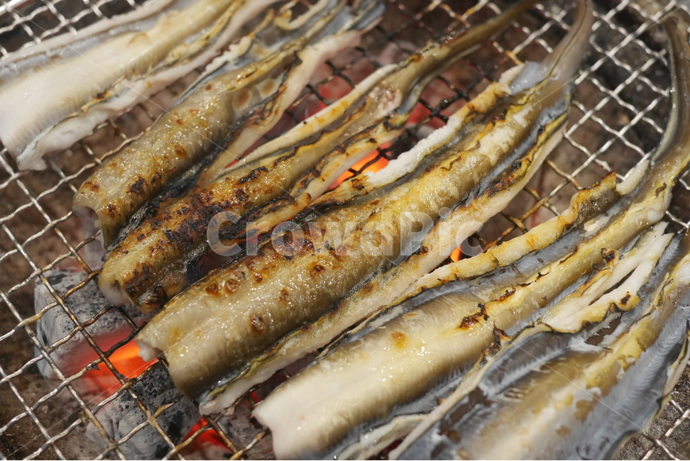 장어,보양식,복날,돌장어,마산돌장어,회식,회식메뉴,모임,음식,저녁식사,food,숯불,숯불구이,스테미너,음식,식재료,요리,food,cook,meal,dishes,food reserves,수산물,해산물,fishery products,seafood,한식,한국음식,한국요리,korean food,korean dishes,korean meal,korean cook