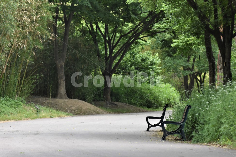 벤취,숲속,나무그늘,무성한나뭇잎,여름정경,자연,풍경,nature,landscape,휴식,힐링,rest,relaxation,healing