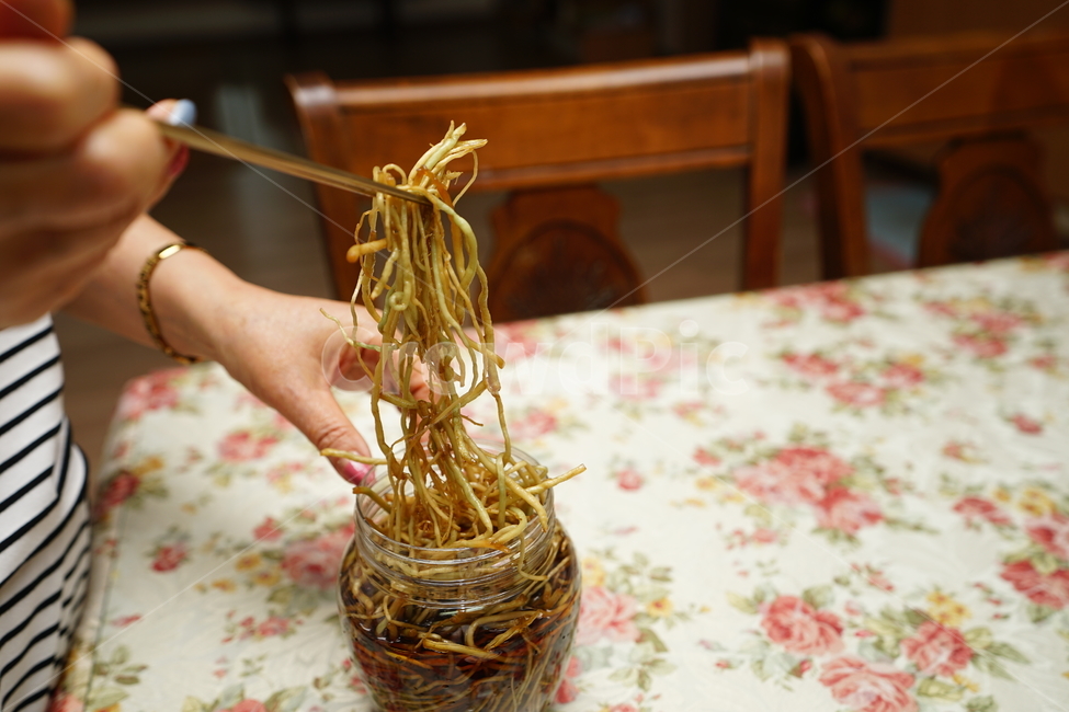 삼채,짱아찌,장아찌,반찬,집밥,식탁,삼채장아찌,밥도둑,음식,먹거리,찬,식사,식사시간,푸드,나물,사람,인물,인간,human,person,신체일부,몸,body,음식,식재료,요리,food,cook,meal,dishes,food reserves,한식,한국음식,한국요리,korean food,korean dishes,korean meal,korean cook