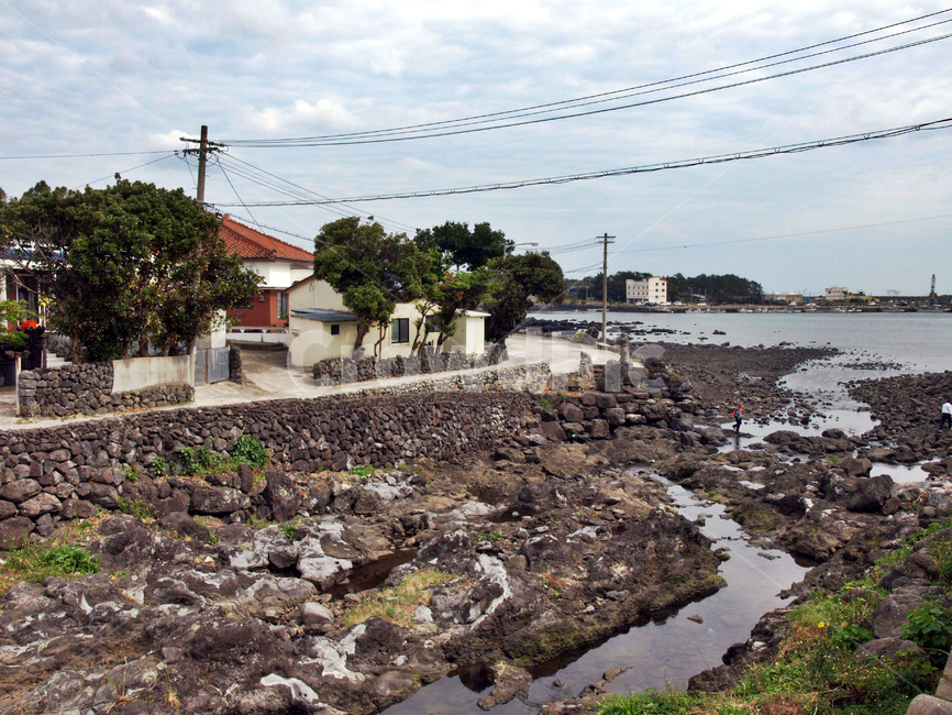 망장포구,바다,올레5코스,올레길,제주,서귀포시,마을,동네,자연,풍경,nature,landscape,제주도,jeju,jeju island,시골,마을,country,rural,town