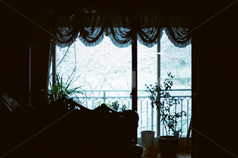 창가,베란다,발코니,테라스,겨울,아침,고요,눈,창문,집,거실,필름,감성,sensible,feeling,인테리어,실내디자인,interior design